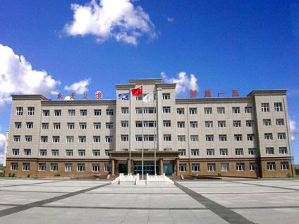 领航国际 协同办公 公文管理 流程审批