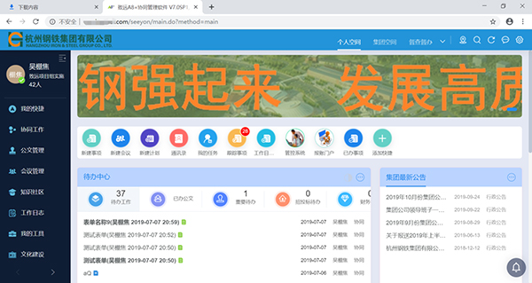 领航国际 协同运营 杭钢集团