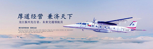 黑龙江省交通 领航国际 COP 协同 oa