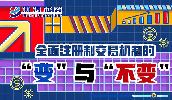 领航国际 股东来了