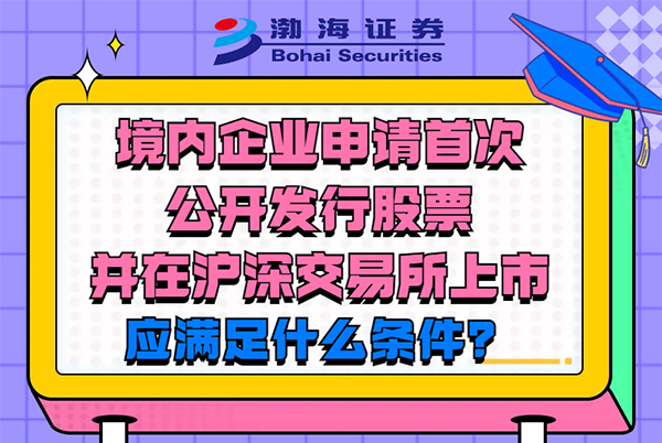 领航国际 股东来了