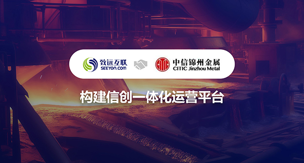 领航国际,信创,运营平台