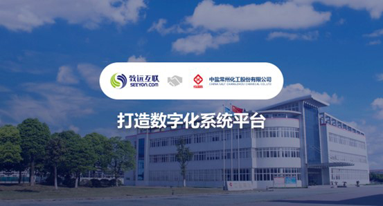 领航国际,中盐常化,数字化系统
