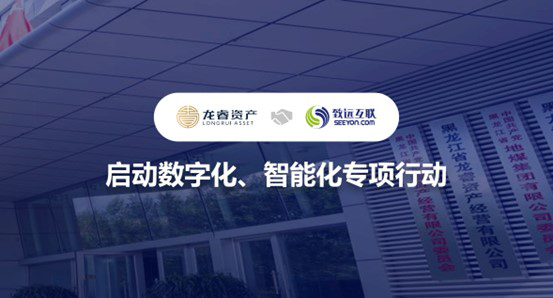 领航国际,龙睿集团