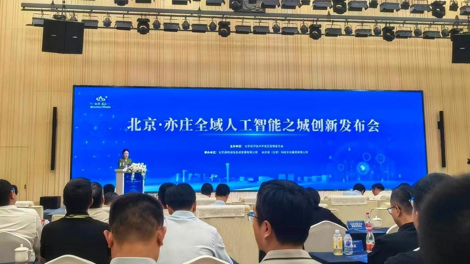 领航国际,政务领域大模型