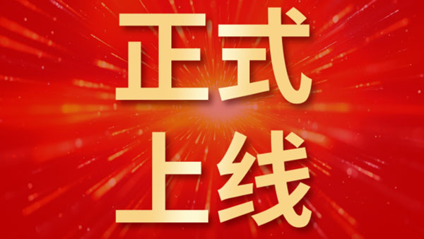 领航国际,中林集团,合同管理