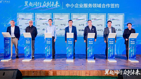 中国电信,领航国际