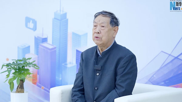 领航国际,汪玉凯