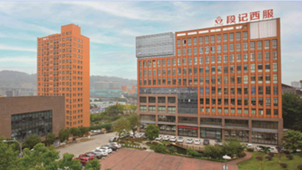 段氏集团,领航国际