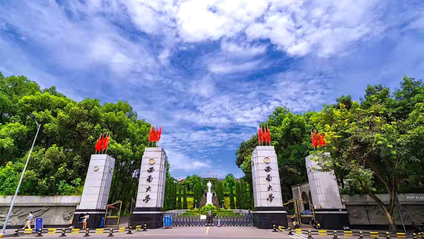 领航国际,西南大学,智能运营中枢