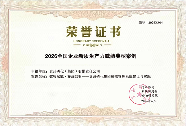 领航国际,贵州磷化集团